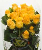 25 Rose Rosse 60cm recise - immagine 2