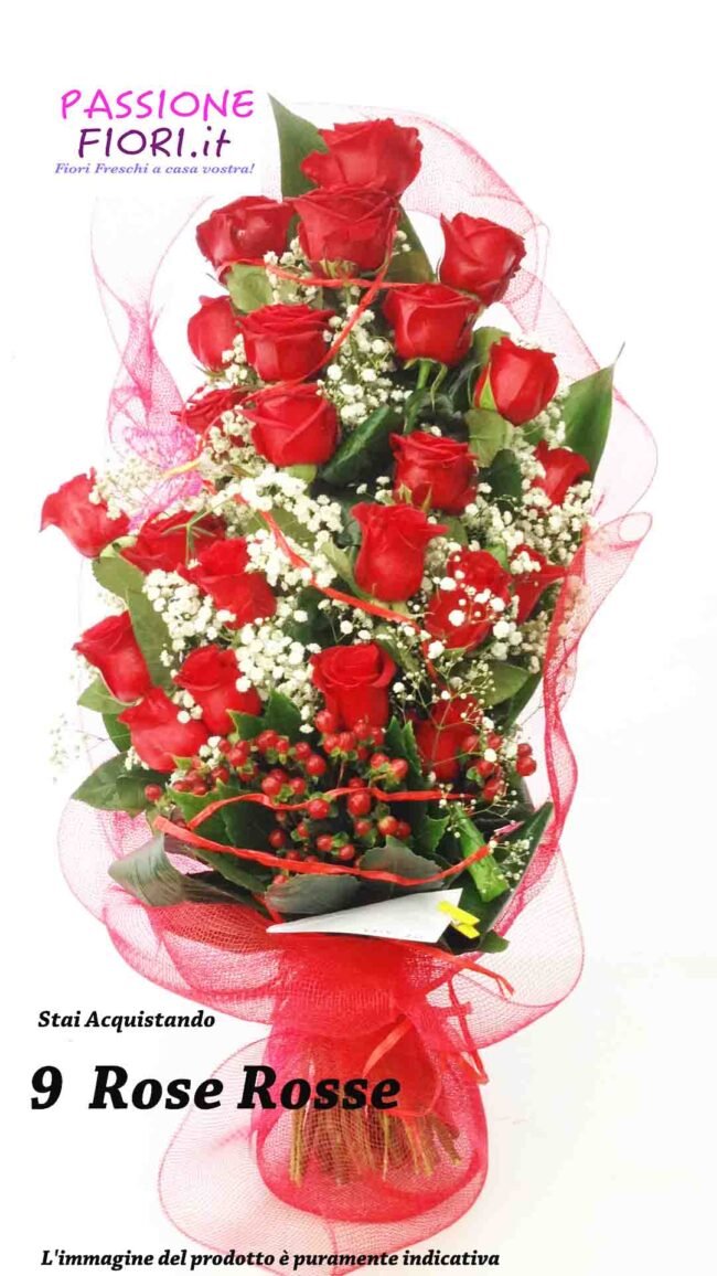Mazzo 9 Rose Rosse Stelo Lungo