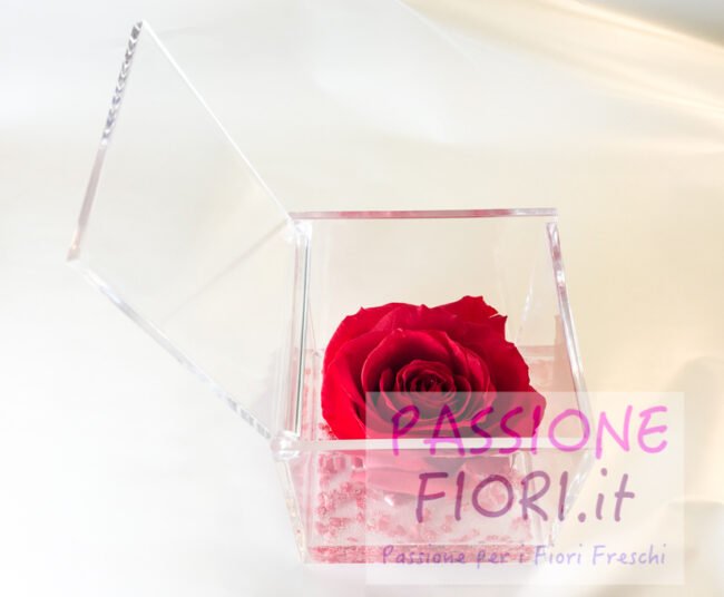 Cubo Rosa stabilizzata maxi Fucsia 10x10x10 - immagine 7