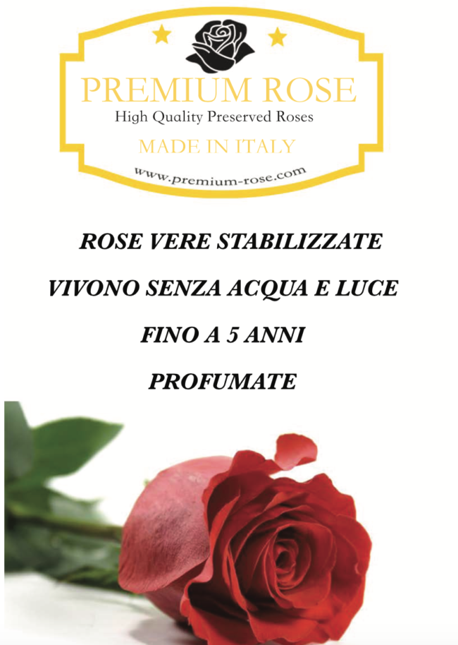 Scatola Tonda, Cilindro in Velluto 7 Rose stabilizzate Rosa e Bianco