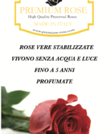 Scatola Tonda, Cilindro in Velluto 7 Rose stabilizzate Blu e oro