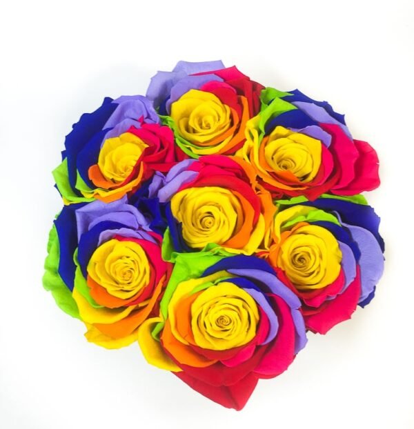 Box 7 Rose Multicolor rainbow in scatola tonda, Cilindro in velluto