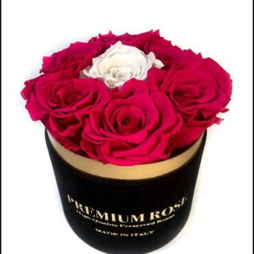Scatola Tonda, Cilindro in Velluto 7 Rose stabilizzate Nero e fucsia