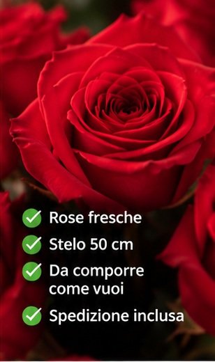 Dettaglio dei petali di una rosa rossa e caratteristiche della promozione