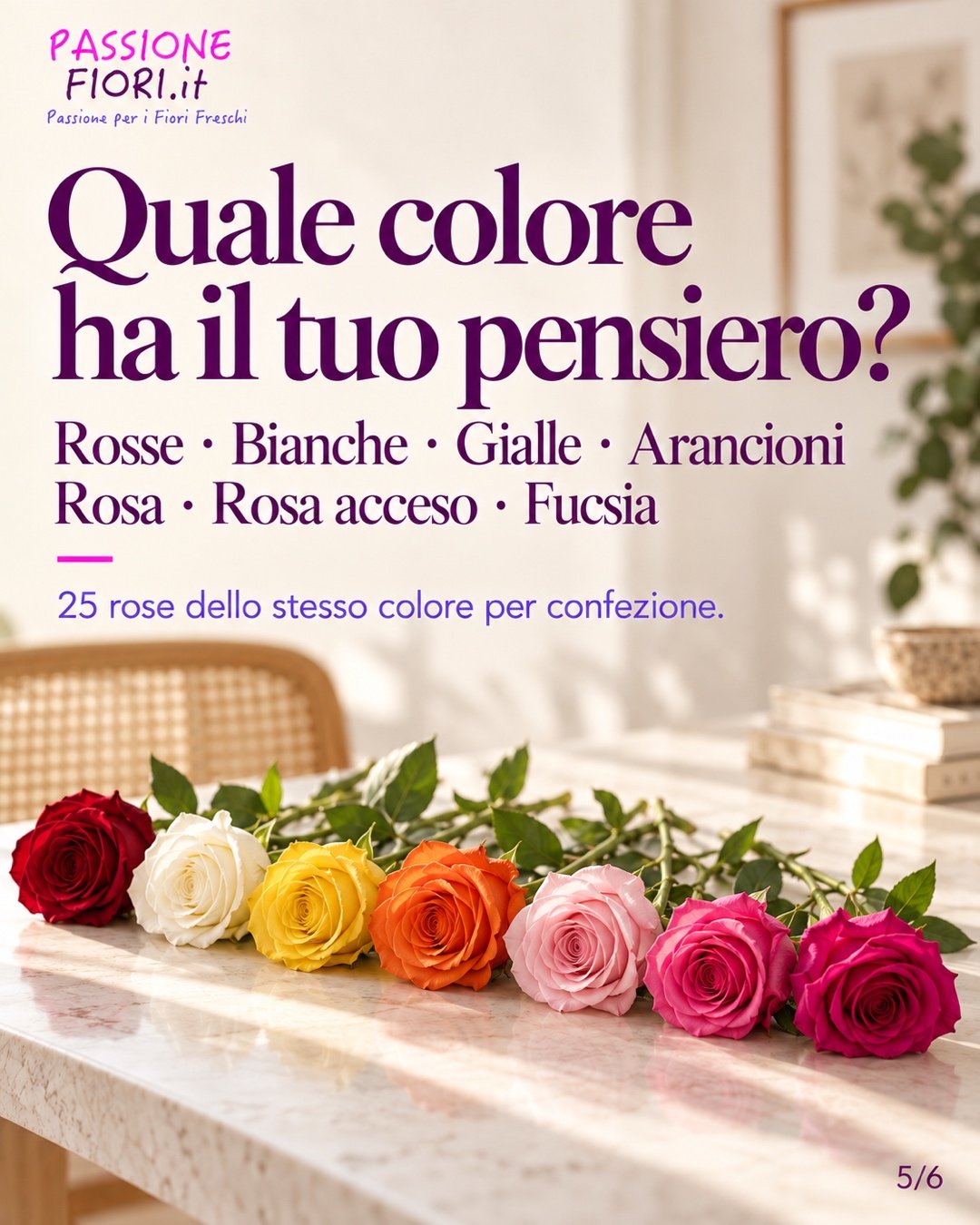 I sette colori della promozione: rosso, bianco, giallo, arancione, rosa, rosa acceso e fucsia